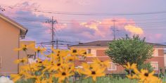 yellow flowers are in the foreground with power lines and buildings in the background