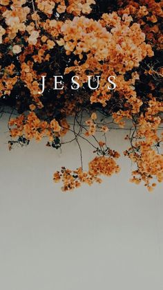 the word jesus is surrounded by flowers on a white background with orange and yellow leaves