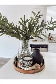 there is a plant in a vase on the counter top with other items around it