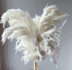 a vase filled with white feathers on top of a table