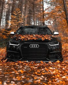 an audi car parked in the woods surrounded by leaves