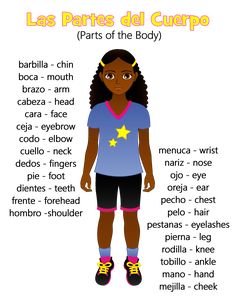 Parts Of The Body In Spanish, Spanish Shows To Learn Spanish, Mexican Spanish Language, Spanish Study Notes, Spanish Tips