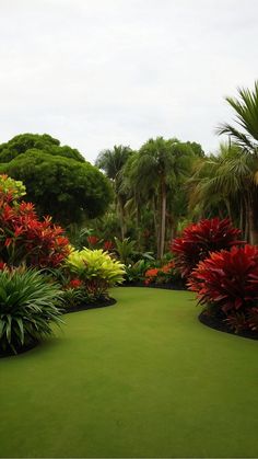 a lush green lawn surrounded by colorful flowers and palm trees in the distance, on a cloudy day