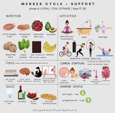 Diet During Menstrual Cycle, Body During Period Menstrual Cycle, Working Out For Your Menstrual Cycle, Exercising According To Menstrual Cycle, Women’s Menstrual Cycle, Healthy Period