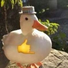 a rubber duck with a hat and thumb up on it's head sitting on a rock