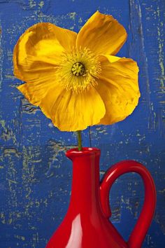 a red vase with a yellow flower in it