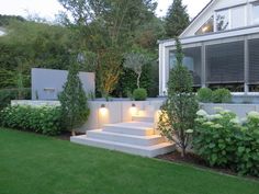 an outdoor garden with steps, bushes and lights