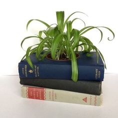 three books stacked on top of each other with a plant in the middle one is green