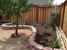 a small tree is in the middle of a garden area with brick edgings