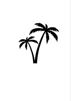 two palm trees on a white background