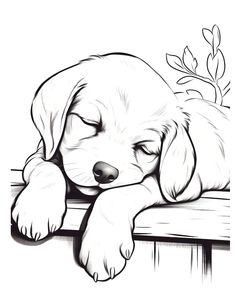 a black and white drawing of a puppy sleeping on a wooden bench with its eyes closed