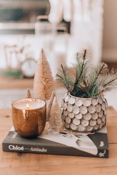 a pine cone candle sits on top of a book next to a potted plant