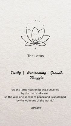 the lotus logo is shown on top of a white paper with black writing and an image of a flower