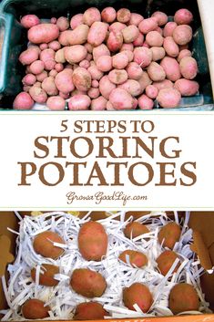 three steps to storing potatoes in boxes with text overlay