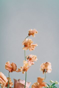 an arrangement of flowers in a vase on a table with a blue sky behind it