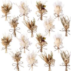 a bunch of dried flowers tied together with twine and ribbons on a white background