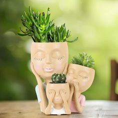 a ceramic planter with three faces holding a succulent