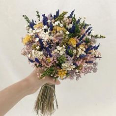 a person's hand holding a bouquet of wildflowers and other flowers on a white background