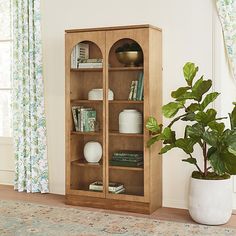 a wooden bookcase sitting next to a potted plant on top of a rug