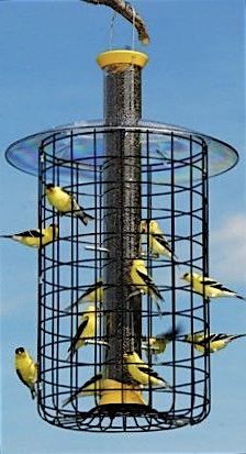 a bird feeder filled with lots of yellow birds