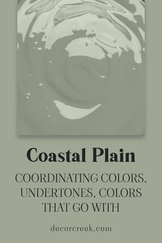 Coastal Plain SW 6192 Paint Color Coordinating Colors, Undertones and Colors That Go With Oyster Bay Sherwin Williams, Intellectual Gray, Ranch Remodel, Color Pairs, Coastal Plain, Comfort Gray, Oyster Bay, Nature Indoors, Trim Color