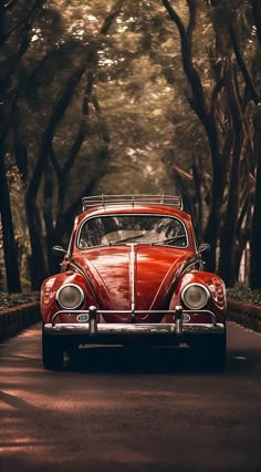 an old red vw bug driving down the road in front of some tall trees