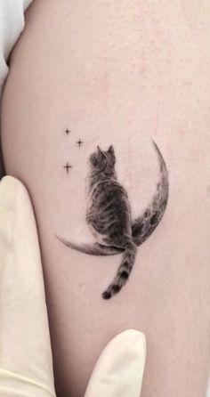 a cat sitting on top of the moon with stars in it's back leg