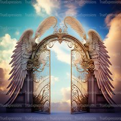 an open gate with two white angel wings on it and the sky in the background