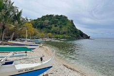 there are many small boats on the beach by the water's edge with trees in the background