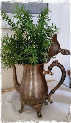 a potted plant sitting inside of a metal pitcher on top of a white table