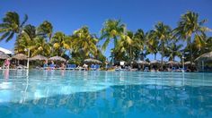 an empty swimming pool surrounded by palm trees