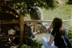 a woman sitting on the ground next to two cows behind a fence and looking at them