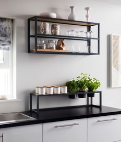 the kitchen is clean and ready to be used for cooking or serving dishes, including herbs