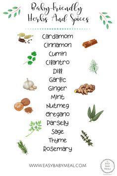 the baby - friendly herbs and spices chart is shown in green, white, and blue