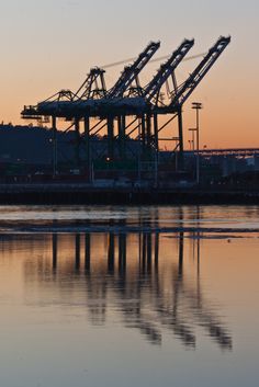 cranes are reflected in the water at sunset