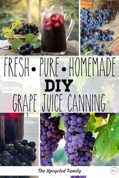 fresh, pure homemade diy grape juice canning is the perfect way to start your day