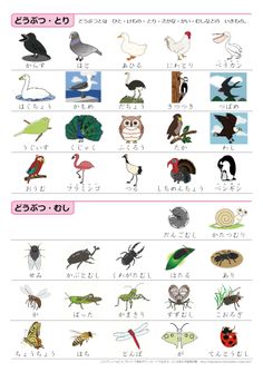 an image of different types of birds and insects in japanese language, with the words