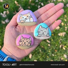 hand holding three rocks with cats painted on them