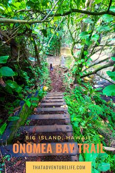 the steps leading to onemea bay trail in big island, hawaii with text overlay