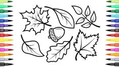 coloring pages with leaves and crayons on the bottom one is black and white