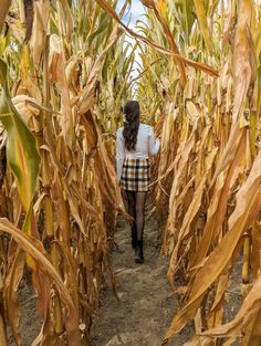 a woman is walking through a corn field