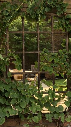 an old window is covered with vines and chairs