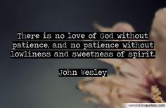 there is no love of god without experience and no patience without lolness and sweetness of spirit john westley