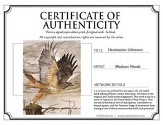 the certificate for an art work is shown in this image, it has been designed to look