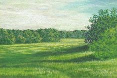 an oil painting of a green field with trees and grass in the foreground on a sunny day