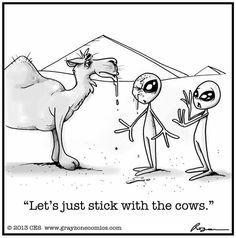 an alien is talking to another alien in front of a camel with the caption, let's just stick with the cows