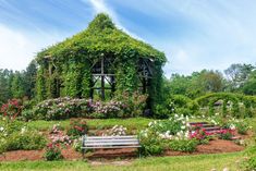 a bench sitting in the middle of a garden