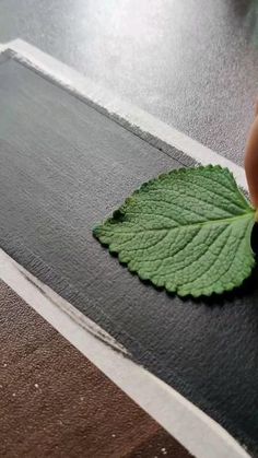 a person holding a green leaf on top of a table