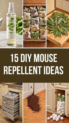 Learn the secrets to a mouse-free home with this easy homemade mouse repellent guide. Follow these 5 simple steps to protect your space without harsh chemicals. Diy Mouse Repellent Homemade, Mouse Repellent Diy, Diy Mice Repellent, Mouse Deterrent, Repellent Diy, How To Deter Mice, Mouse Repellent, Rat Repellent, Diy Mouse