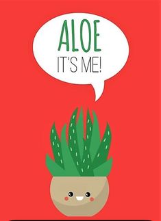 a card with an image of a potted plant and the words aloe it's me